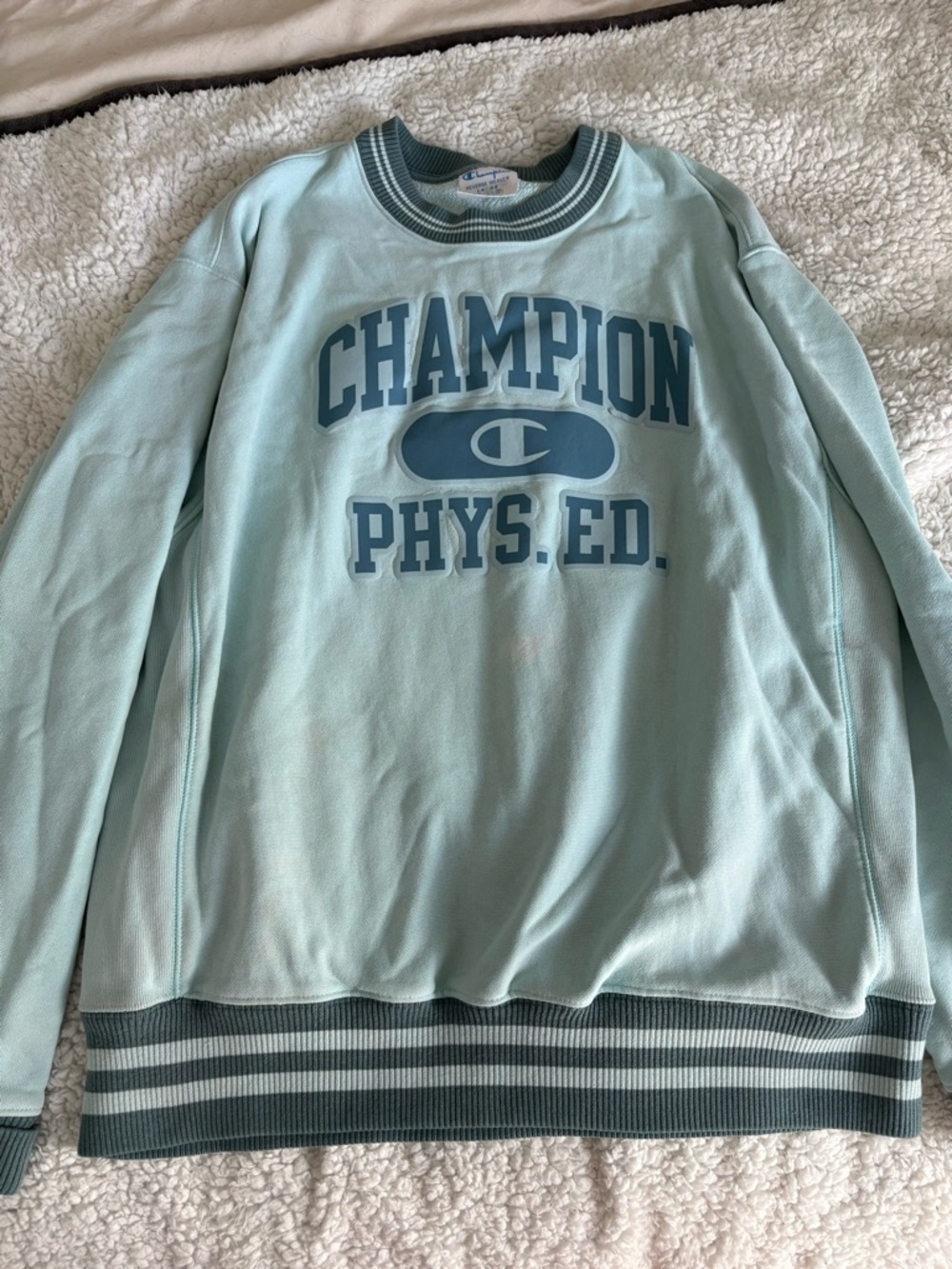 Champion Men’s Mint Green Crewneck Sweatshirt with Blue Logo